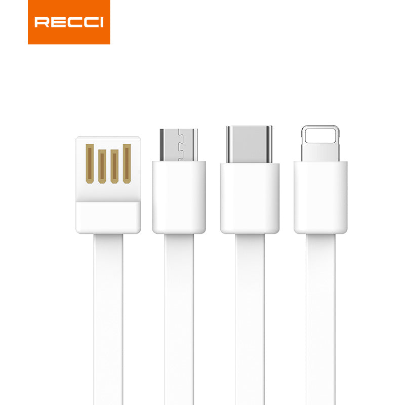 銳思【3C認證】【可上飛機】 RP01移動電源自帶線Lightning+Type- USB口充電寶