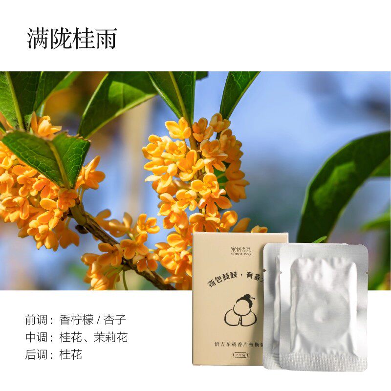 宋朝悟吉車載香薰車用香水出風口香氛馬年送禮盒 SONG CHAO Wuji Car mounted Aromatherapy Car perfume Air Outlet Fragrance Gift Box for the Year of Horse